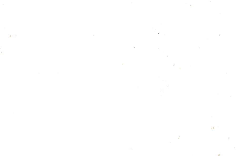 Image 31